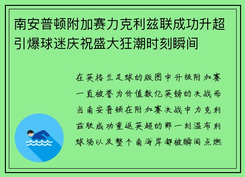 南安普顿附加赛力克利兹联成功升超引爆球迷庆祝盛大狂潮时刻瞬间