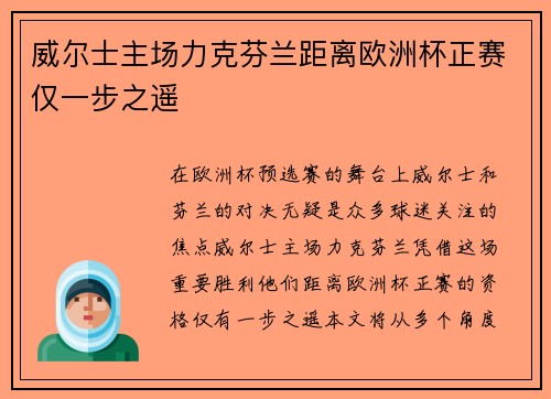 威尔士主场力克芬兰距离欧洲杯正赛仅一步之遥